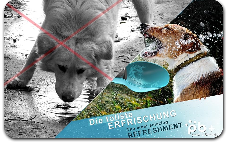 Набір для собак 2 шт: велика складана пляшка для води 800 мл та щітка для зубів | Пляшка для собак преміум-якість, блакитна, 800 мл