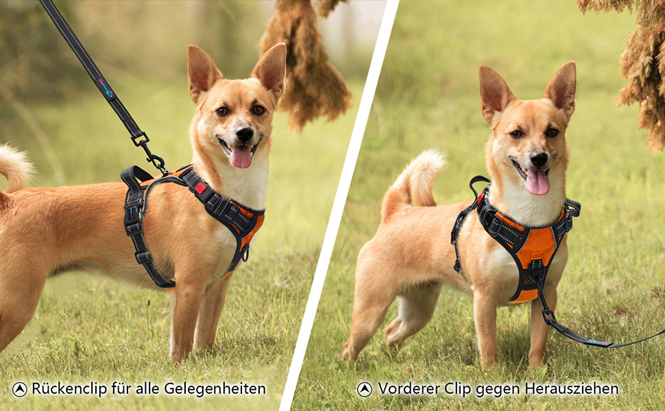 Шлейка для собак PHOEPET з регулюванням, для прогулянок, з карабіном, світловідбиваючими смугами та ручкою для контролю (XL, помаранчевий)