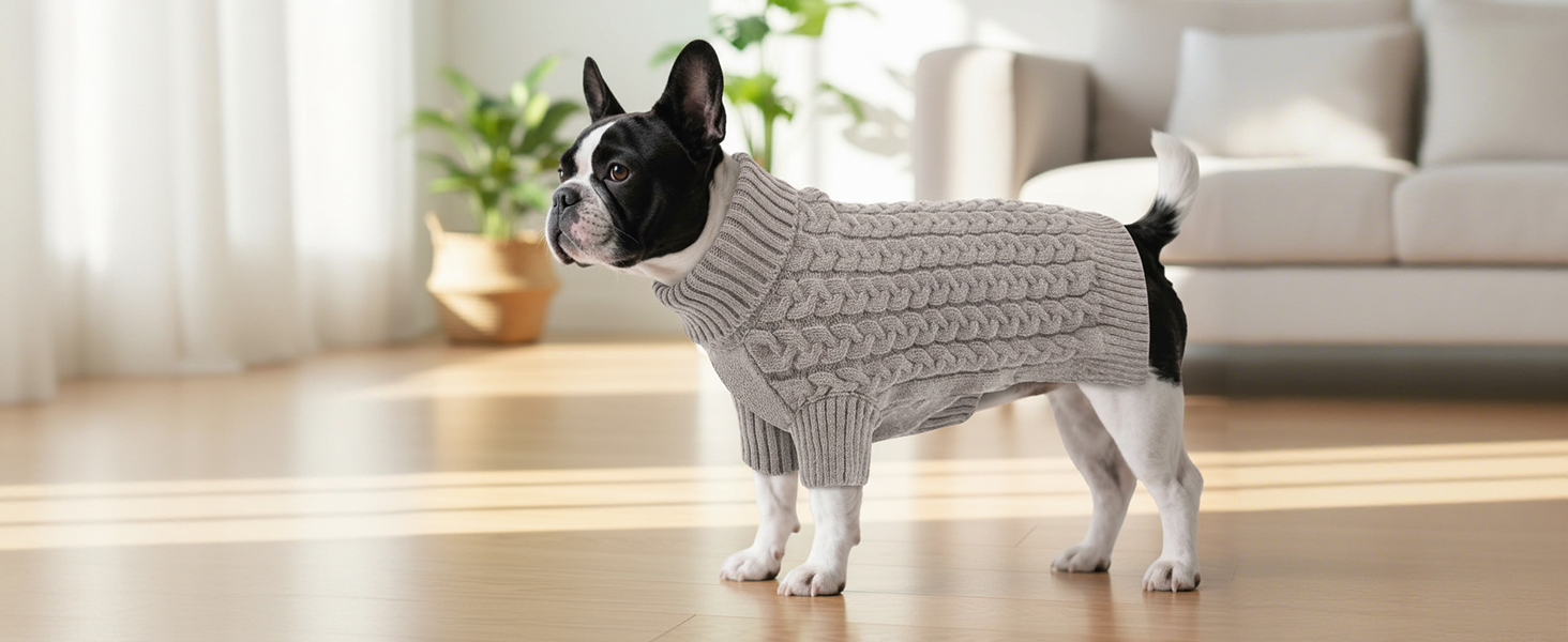 Теплий зимовий пуловер для собак S, ASENKU, з отвором для повідка, з м'якою горловиною, для Чихуахуа, Французького бульдога, зелений