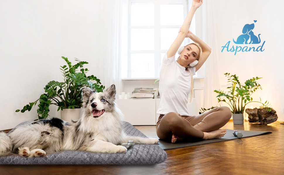 Ортопедична подушка для собак Asapnd, 102x69 см, сірий колір, з антиковзким дном, м'яка та зручна, для великих собак, миється, з малюнком луски риби