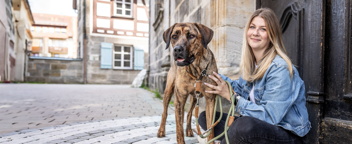 Нашийник для собак Rudelkönig Emma - Елегантний нашийник-стоп для собак з шкіри та нейлону - ø 12 мм - Зручний навчальний нашийник для великих собак (6, Чорний)