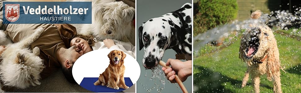 Кілим-охолоджувач для собак Veddelholzer (M) - товстий, самоохолоджуючий, без електроенергії. Розмір 50x65 см. Ідеально для літа та подорожей. Підходить для собак маленьких, середніх та великих порід. Легкий, згинається, легко миється.