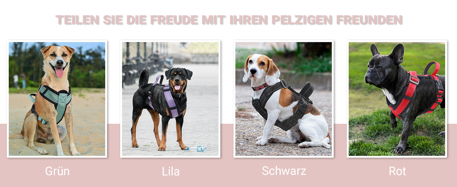 Нашийник для собак XL фіолетовий - зручний, світловідбиваючий, анти-тяга, з ручкою, для собак середніх порід