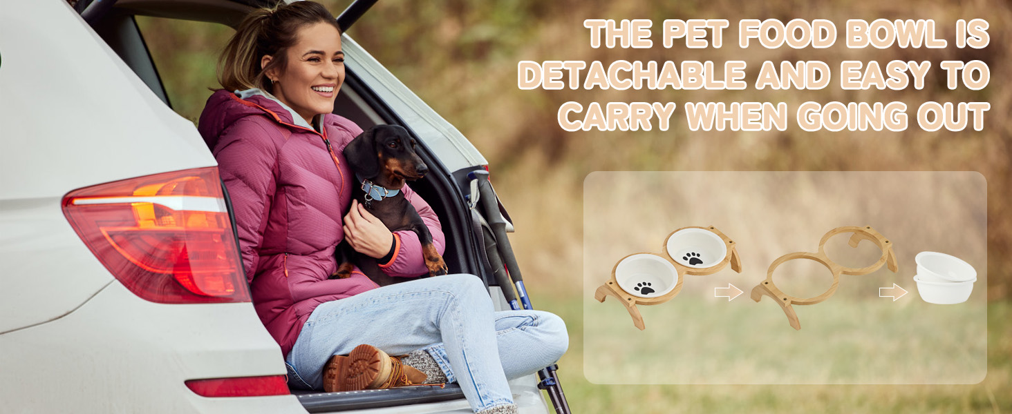 Набір мисок для котів та собак GmeDhc: 2 миски з кераміки на дерев'яній підставці