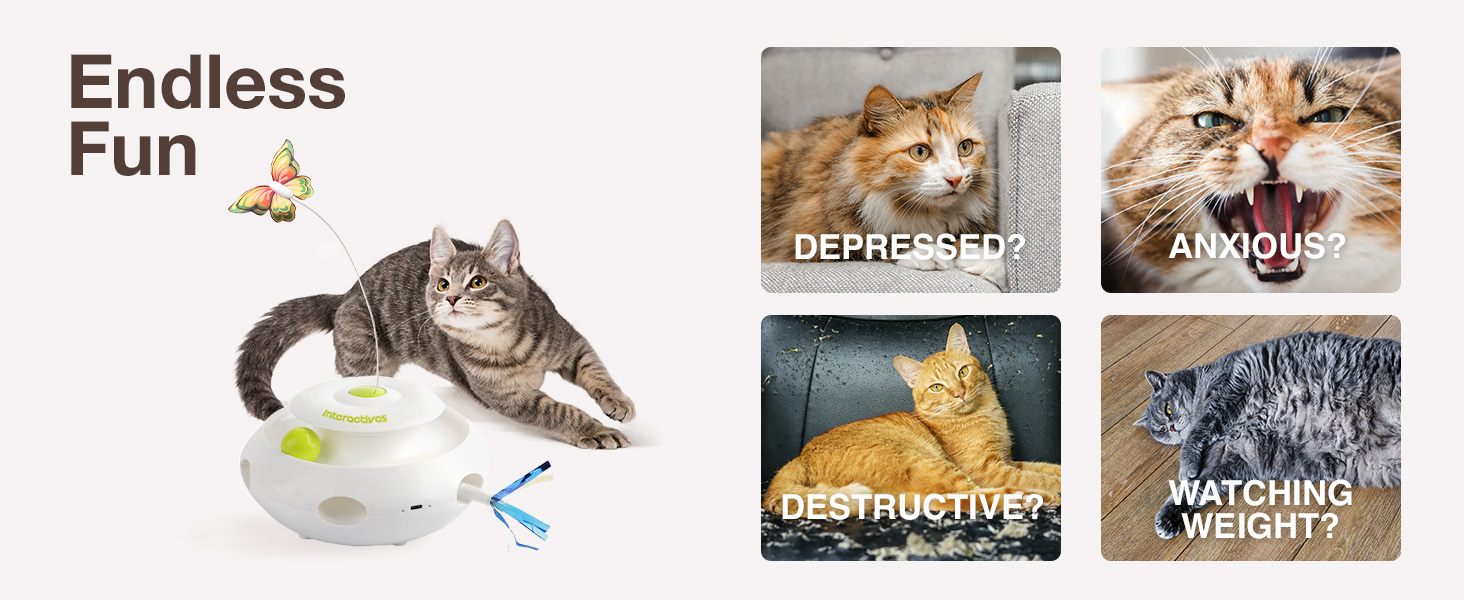 Інтерактивна іграшка для котів ALL FOR PAWS 3 в 1: метелик, м'ячики, пір'я. Автоматична іграшка для дому.