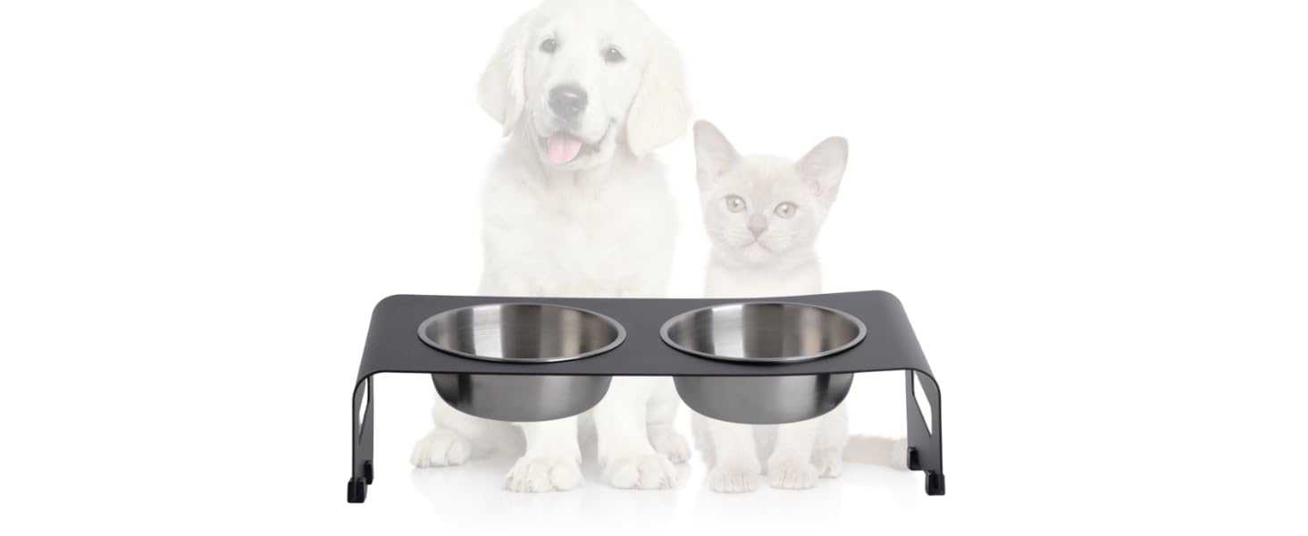 Підставка для корму PETLINUS для котів, піднята годівниця, ергономічна миска для котів, миска для котів з нержавіючої сталі та металу, годівниця для котів та маленьких собак (Чорний - Нахилена)