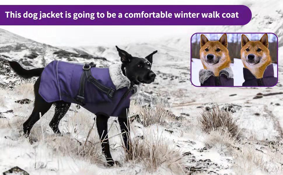 Водонепроникний теплий одяг для собак - зимова куртка з отвором для шлейки, для чихуахуа, французького бульдога, собак маленьких та середніх порід (11, 3)