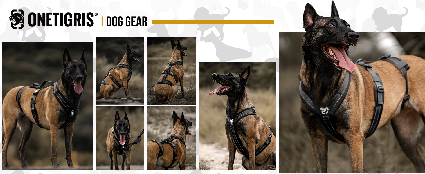 Нашийник для собак OneTigris HOUNDLOCK тактичний, чорний, M (14-27 кг)