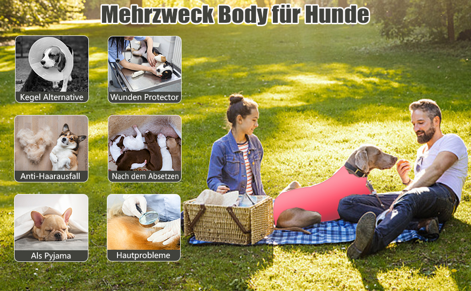 Захисний боді для собак після операції (кастрація/стерилізація) - медичний одяг для собак, захист ран, альтернатива конусу, синій, L