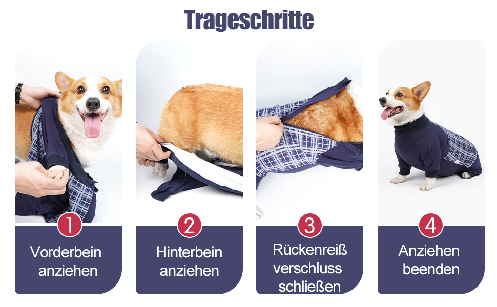 Корпусний костюм для собак після операції Heywean з блискавкою, блакирий в клітинку. Підходить для собак після кастрації, для собак після операції, ергономічний костюм для відновлення.