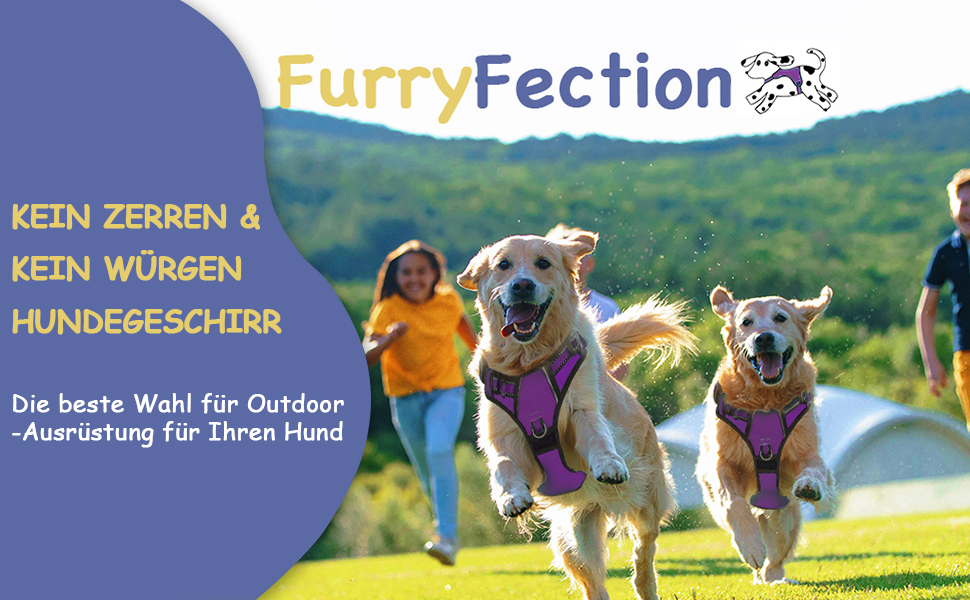 Шлейка для собак середніх порід FURRYFECTION, анти-тяга, регульована, з лінійкою, оксфорд, фіолетовий, M