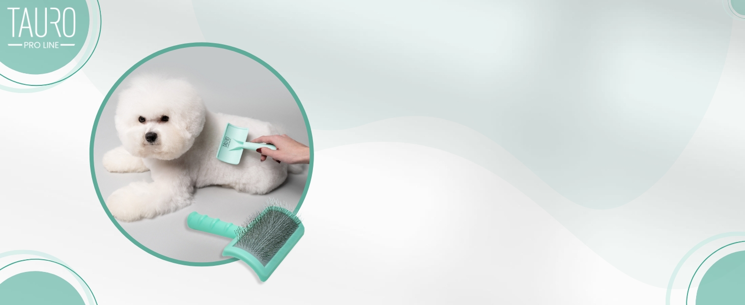 Щітка для собак та котів Classic Brush - якісна щітка з м'якою подушечкою та неслизькою ручкою | Mint, 10,5 x 6,5 см