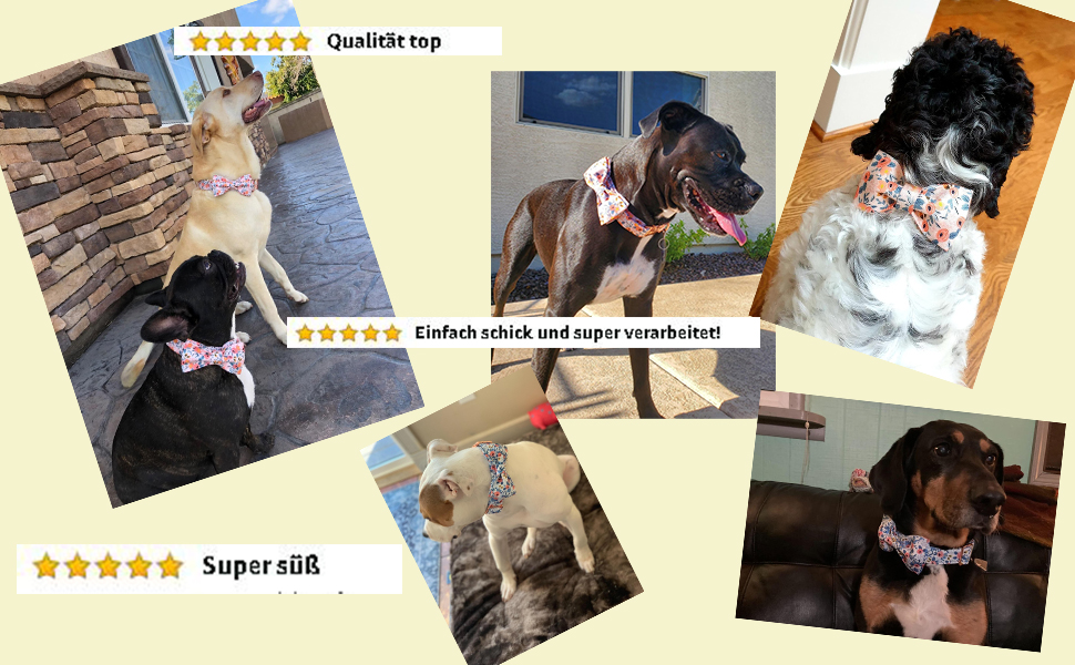 Елегантний ошийник для собак з метеликом Unique Style Paws - універсальний для собак та котів різних розмірів (S, M, L, XL)