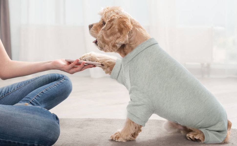 Зимовий теплий одяг для собак: жилети, куртки, комбінезони для собак різних розмірів (XS, B-Gray). Підходять для малих, середніх та великих собак.