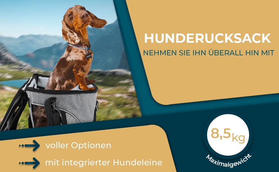 Рюкзак для собак PETSWORLD, складаний | Для тварин до 8,5 кг | Дихаючий, з сіткою | Ергономічна підкладка | Кишені та аксесуари