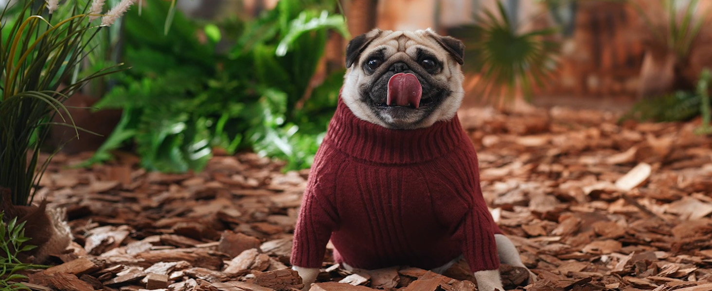 Зелений теплий зимовий пуловер для собак IECOii, великий розмір (XX-Large), для чихуахуа, бульдога, лабрадора