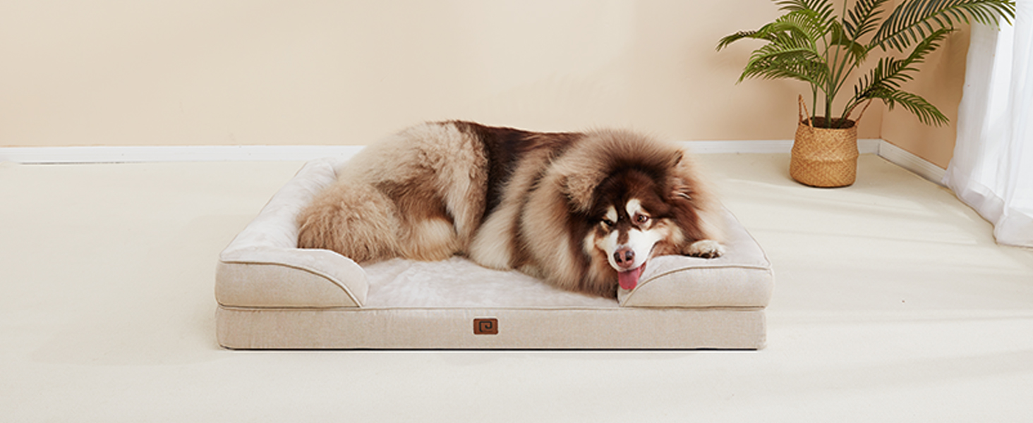 Ортопедичне ліжко для собак EHEYCIGA, 89x56 см, Memory Foam, для середніх та маленьких собак, вологостійке, з високим бортиком, бежеве