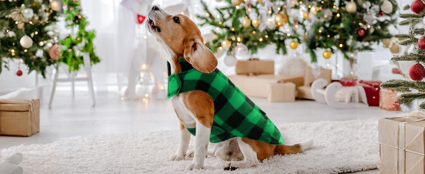 Зимовий теплий дощовик для собак XS, флісова куртка, дощовик для собак, 2 в 1, водонепроникний, вітрозахисний, з отвором для повідка, зелений