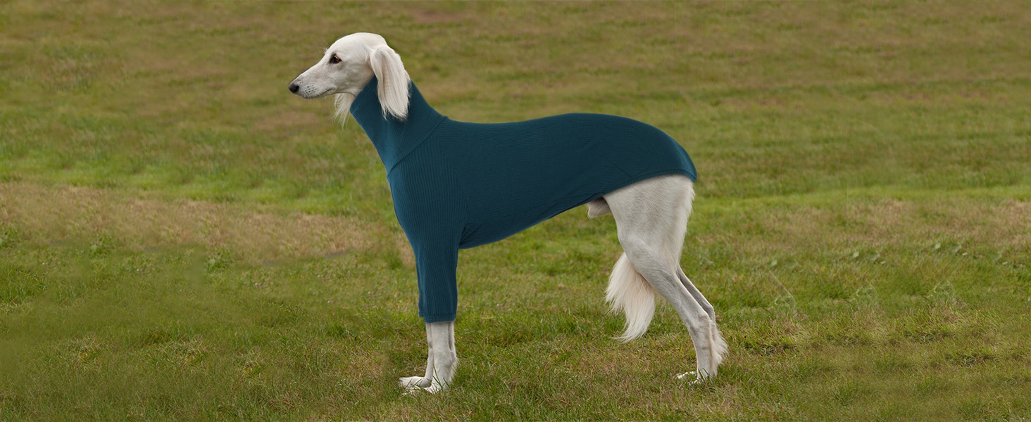Теплий плед-пуловер для віндхунда (Greyhound) та породистих собак, зимова куртка, блакитний, XXL
