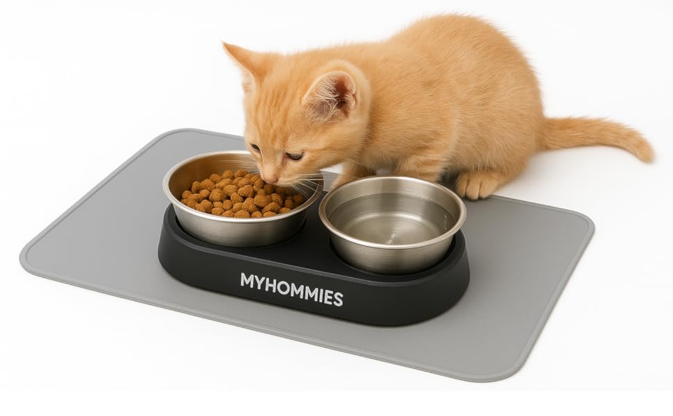 Миска для котів та собак з нержавіючої сталі з нахилом 15°, антиковзаюча, з двома мисками