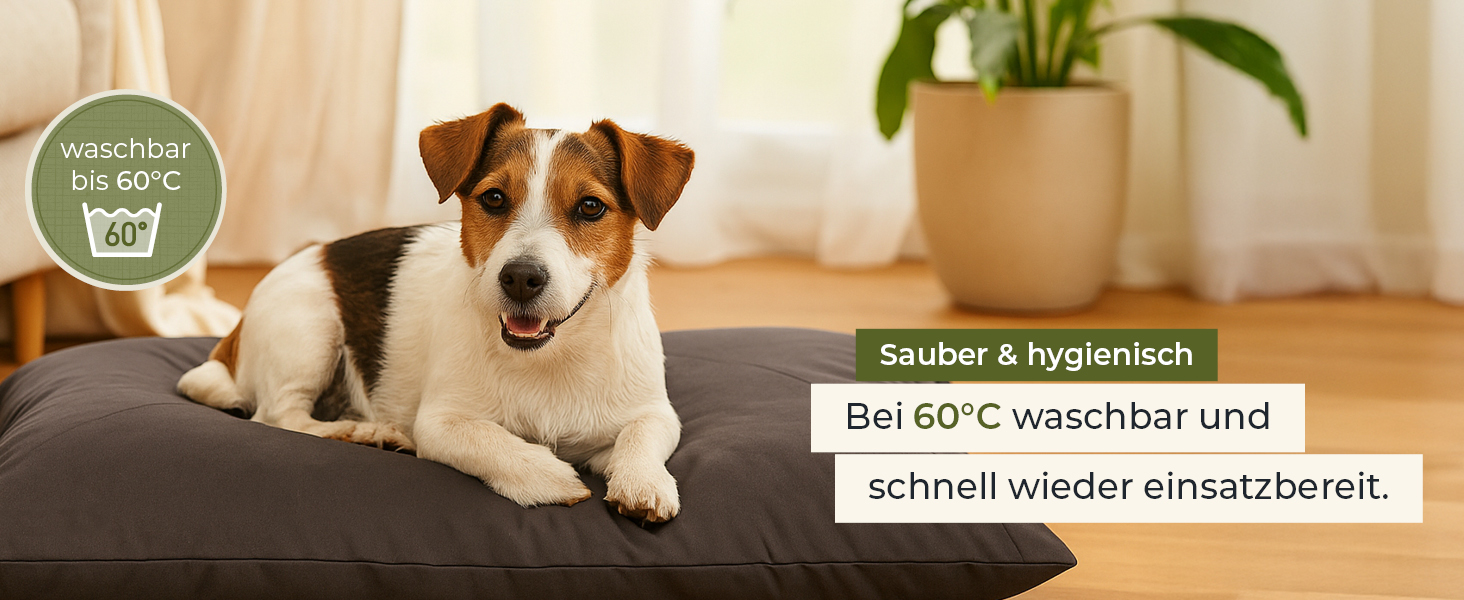 М'яке ліжко для собак великих порід Doctor Bark GreenLabel - зручне, миється, зелене (L)