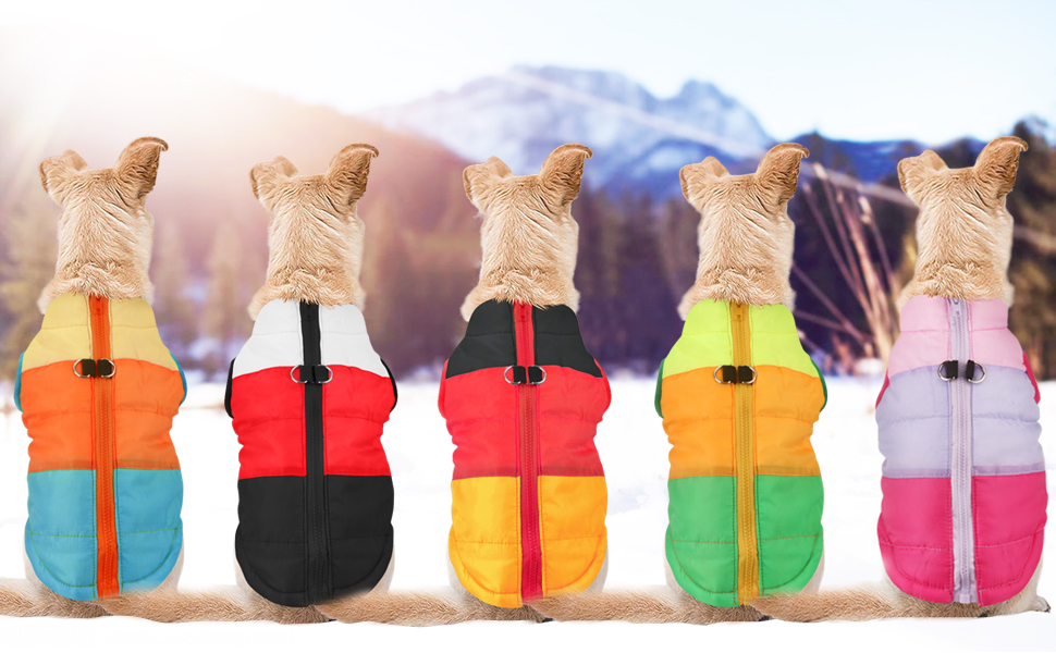 Зимовий теплий водонепроникний одяг для собак Idepet: куртка, пуловер, костюм для снігу. Розміри XS, S, M, L, M Rose