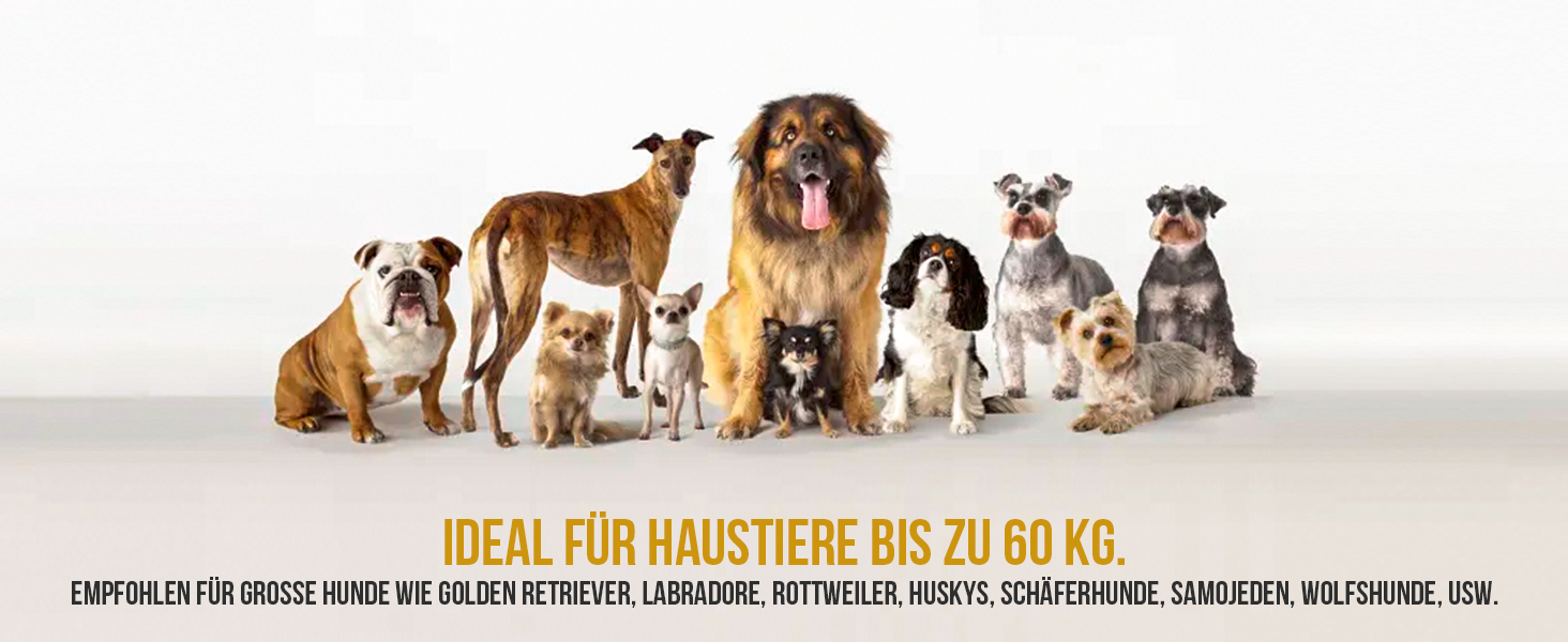 OneTigris лежанка для собак Outdoor, піднята лежанка 21 см, 130x70 см, зручна та дихаюча, міцна, легко миється, для кемпінгу, чорна L