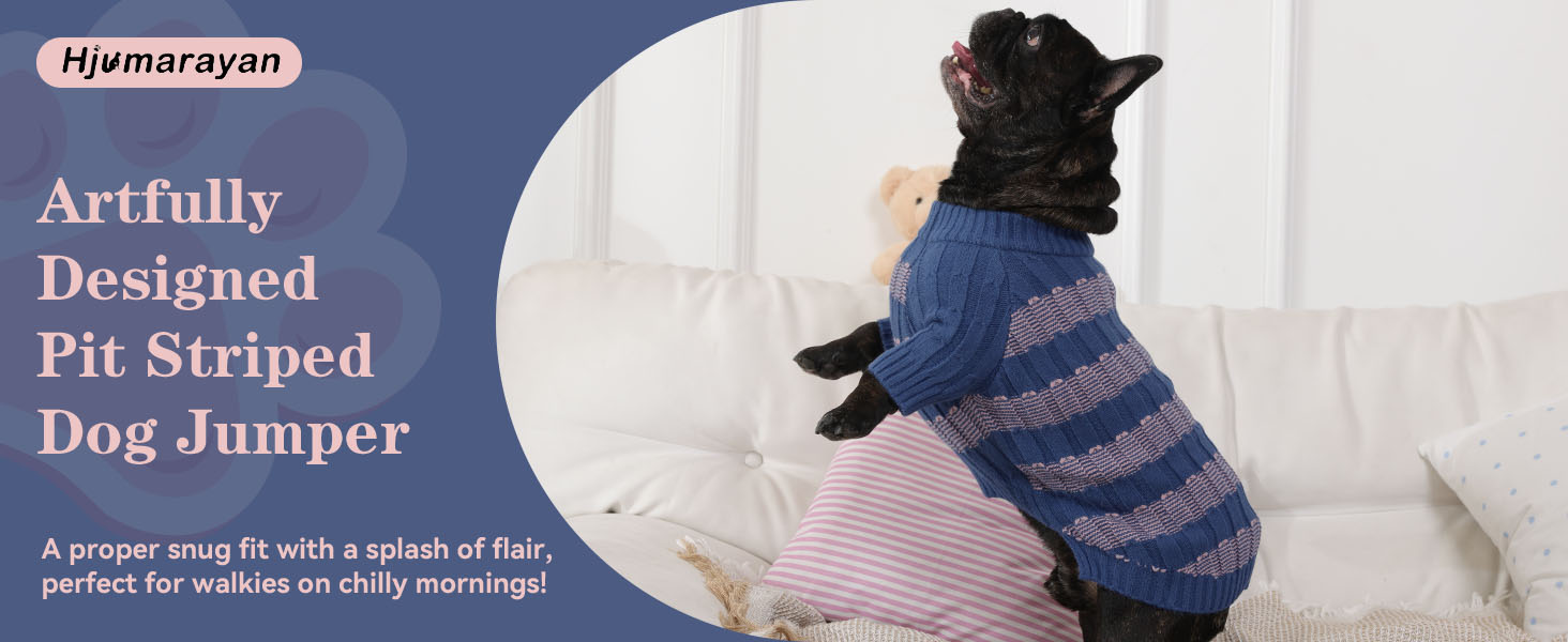 Теплий зимовий пуловер для собак маленьких порід з отвором для повідка, з малюнком 