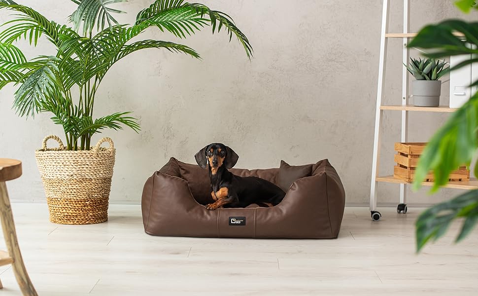 Ортопедичне ліжко для собак Eden, велике, середнє, маленьке - подушка для собак, килимок для собак з еко-шкіри + тканина Alcantara - зняття болю, стійке до зношування, міцне (L, коричнево-кремовий) L коричнево-кремовий