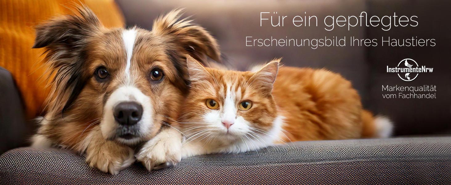 Набір для догляду за лапами та шерстю собак: 5-ти елементний набір професійних ножиць