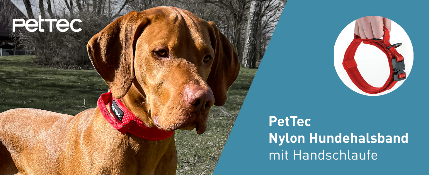 Нашийник для собак PetTec з неопрену та нейлону з ручкою, м'який, регульований, водонепроникний, комплект з повідком, червоний, розмір L (51-61 см)