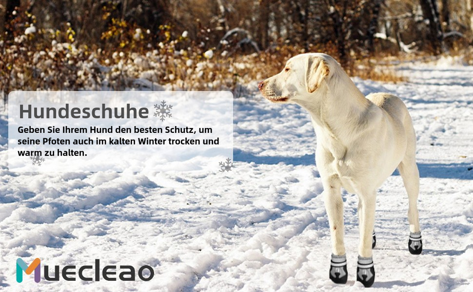 Водонепроникні собачі чоботи для захисту лап, 4 шт. Антиковзаючі чоботи для собак з неслизькою підошвою та світловідбиваючим кріпленням на липучці, для малих, середніх та великих собак (Сірий, XXL)