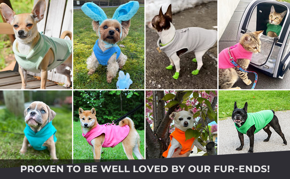 Жилет для собак Jacko & Co з кільцем для повідка – теплий, м'який, дихаючий для цуценят, маленьких та середніх собак, кошенят та котів, чихуахуа, осінь/зима, червоний, розмір M (2,7-4,5 кг)