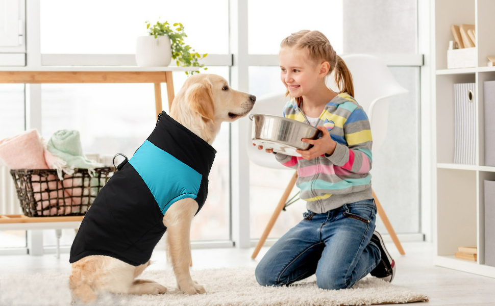 Зимовий теплий куртка для собак FeimaX, водонепроникний, для малих, середніх та великих собак, тепла підкладка, одяг для тварин, зелений, розмір M