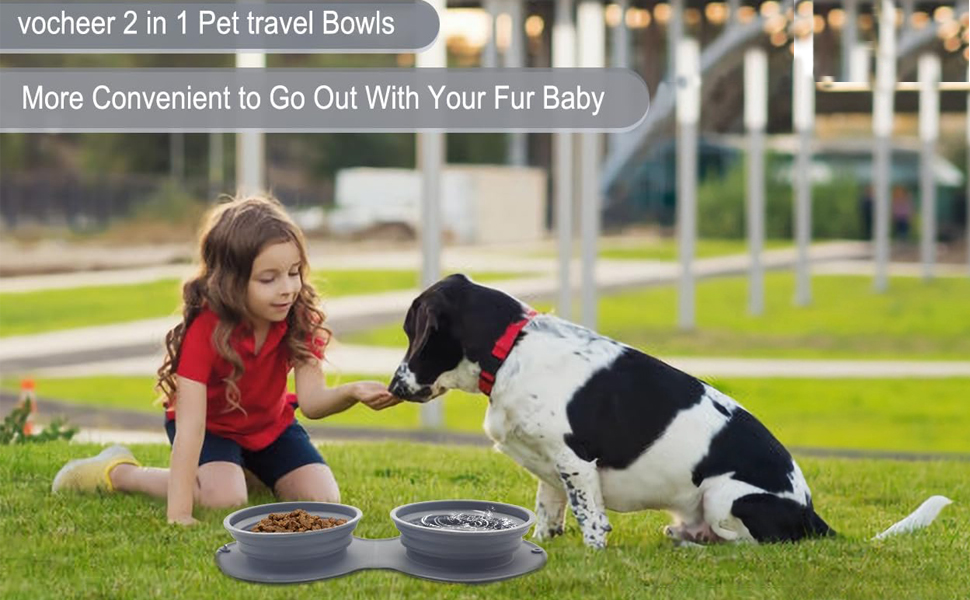 CEASELESLY Набори мисок для собак з нержавіючої сталі, 2 шт по 400 мл, з підставкою з силікону, для собак середніх та маленьких порід, котів та цуценят, сірий колір