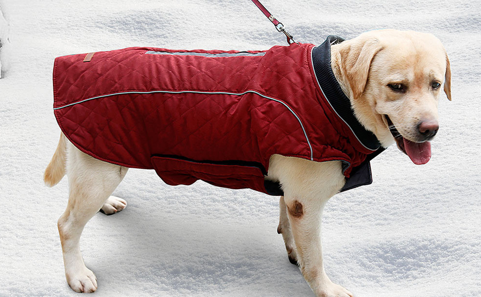 Тепла жилетка для собак TFENG з відбиваючими елементами, розмір XL, помаранчевий колір