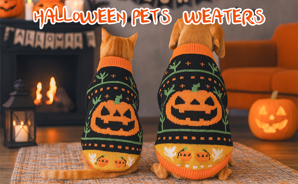 Пуловер на Halloween для собак та котів, з мотивом гарбуза та черепа, трикотажний, для маленьких, середніх та великих собак, Yorkie, Chihuahua, Zwergspitz, розмір L