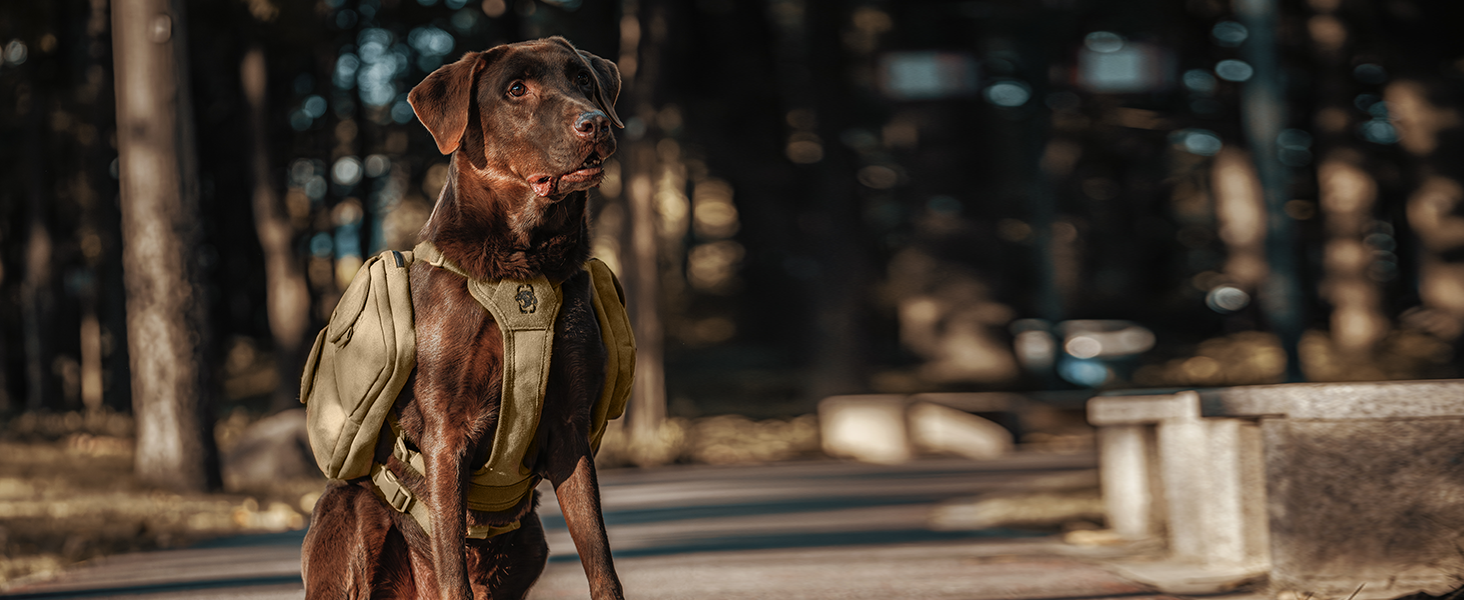 Шлейка для собак OneTigris з рюкзаком, Hoppy Camper 3.0, для кемпінгу та піших прогулянок, зелена, L