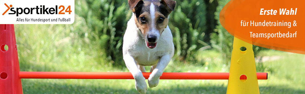 Кільцеподібна перешкода Sportikel24 для аджиліті з жердиною 100 см – для собак, коней та дітей