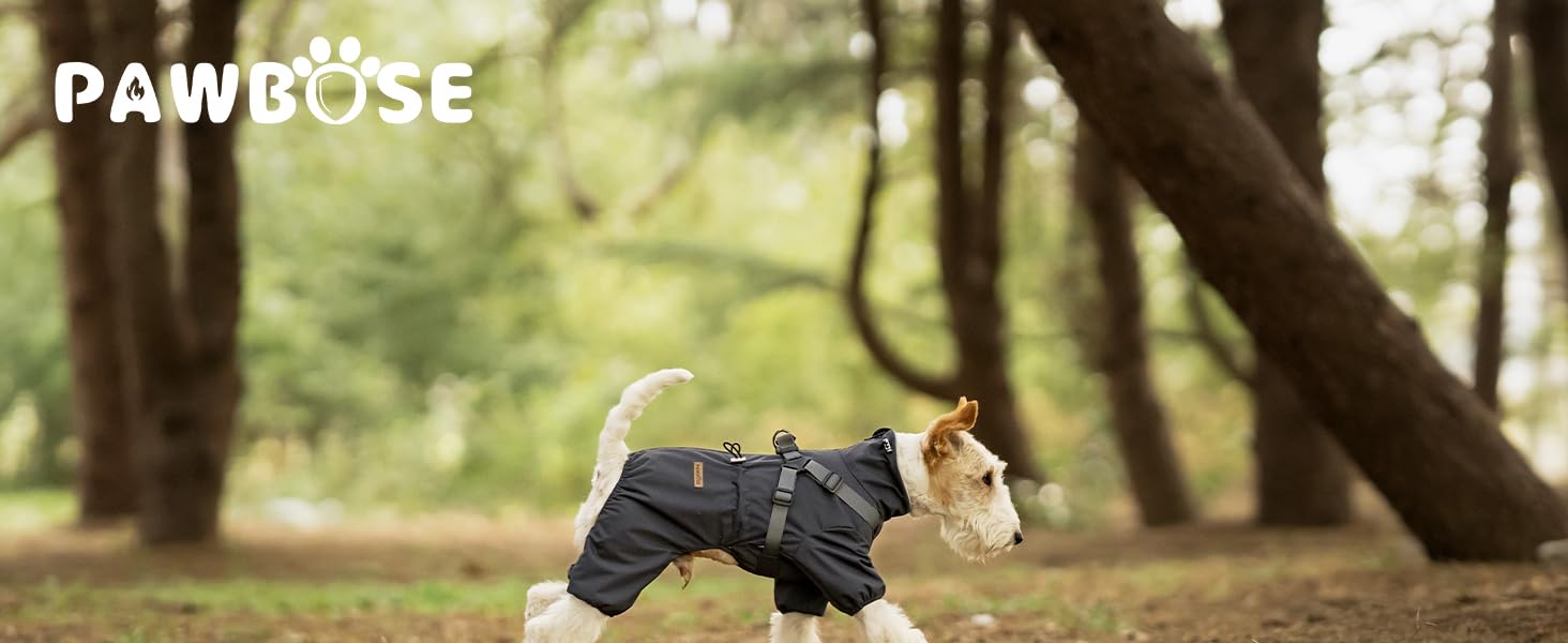 Дощовик для собак PAWBOSE, водонепроникний, для маленьких, середніх та великих собак, з інтегрованим кріпленням для шлейки, сірий, XL