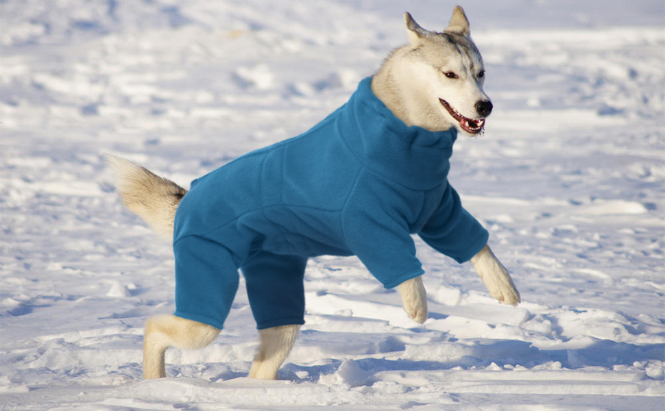 Зимовий одяг для собак: теплий флісовий пуловер для малих, середніх та великих собак. Вітростійкий одяг для тварин з блискавкою. Підійде для Чихуахуа (XXS-3XL). XL, блакитний