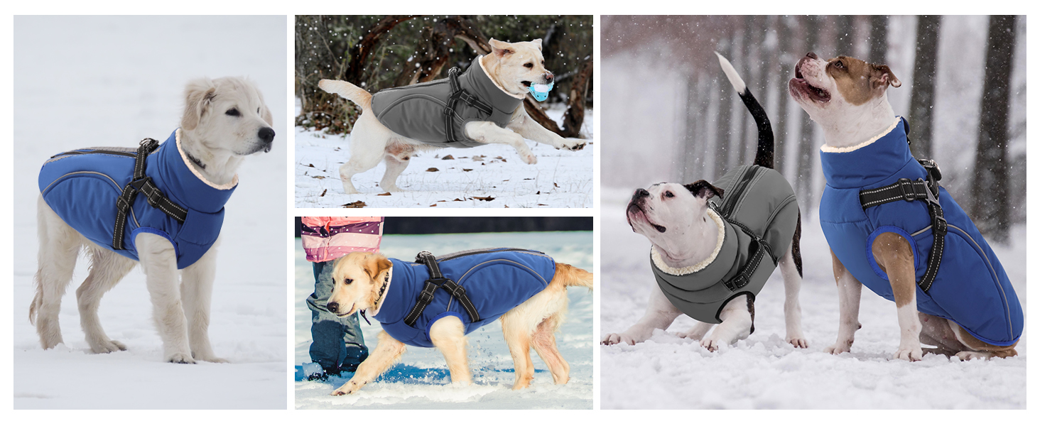 Теплий зимовий одяг для собак Citétoile: куртка з блискавкою, вітрозахисна, з відбиваючими смугами та нагрудником (сірий, M)