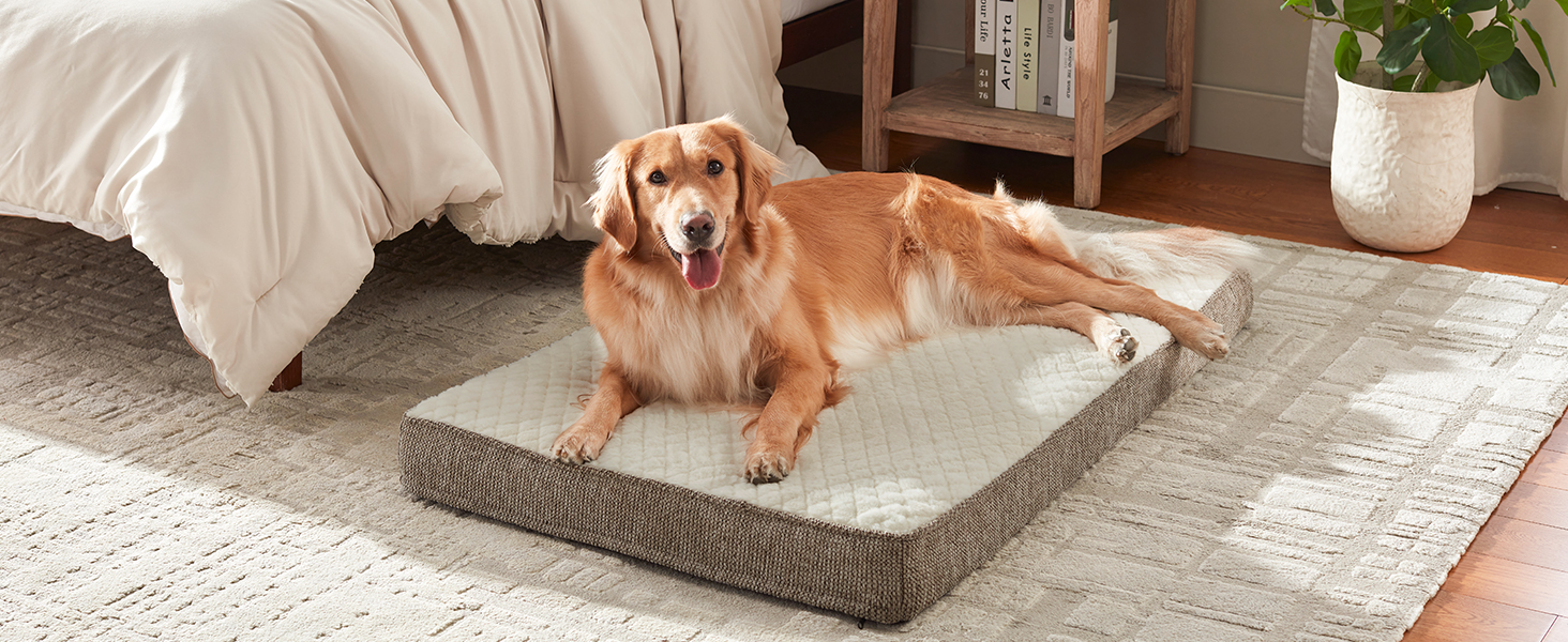 Ортопедичне ліжко для собак JOEJOY, 61x43x9 см, сіре - м'яке, з неслизьким дном