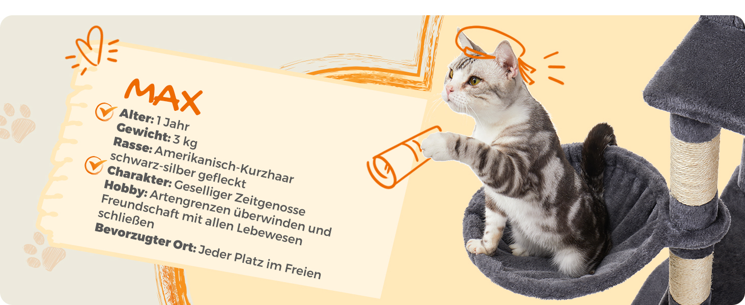 Котячий будиночок Feandrea XXL: багатоповерховий котячий комплекс 206 см, з 13 стовпчиками для шліфування, 2 платформами, 2 печерами, гамаком та іграшками, сірий