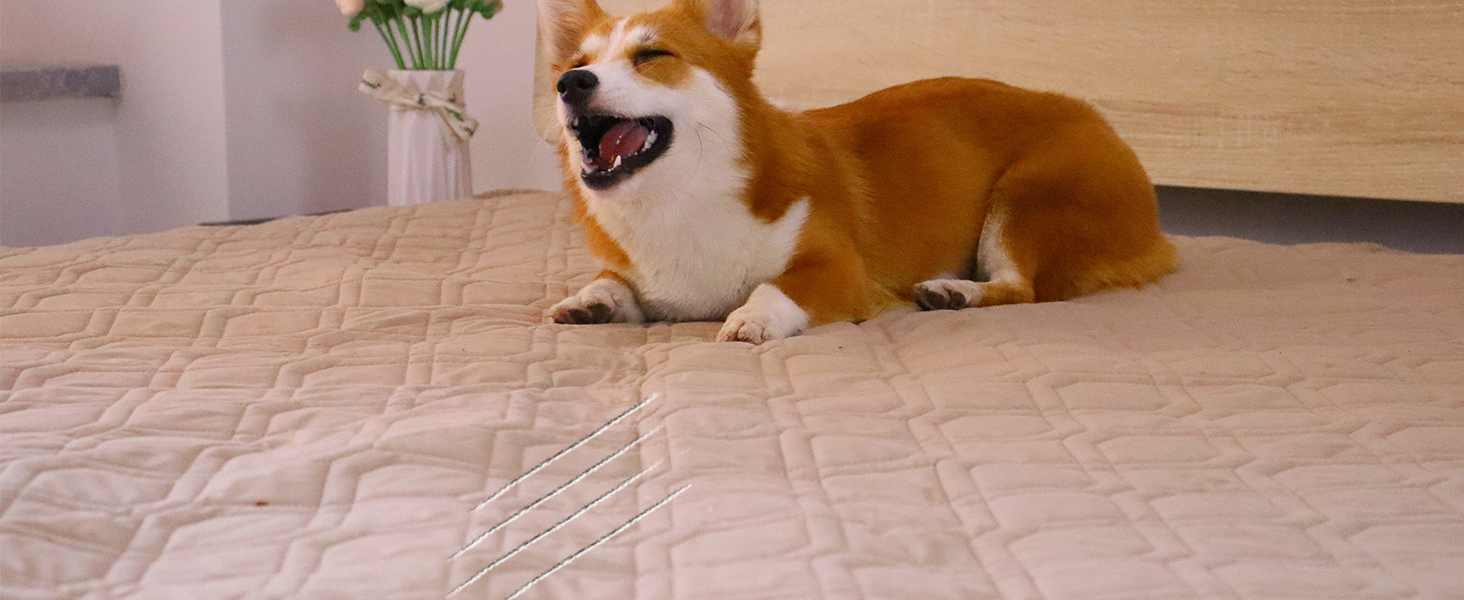 Водонепроникний килимок для собак GYURO - двосторонній, м'який, 97 x 190 см (Хакі) - для великих і маленьких собак, захист дивану, ліжка, авто, придатний для прання