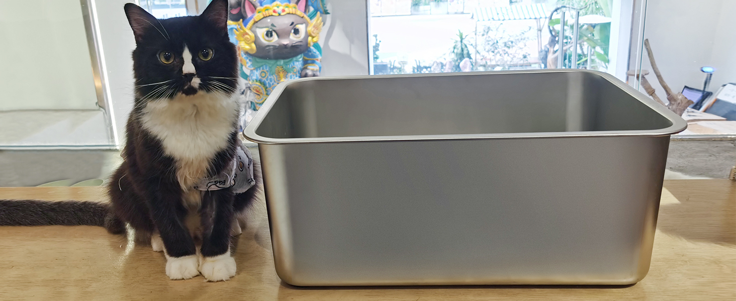 IKITCHEN Великий лоток для котів з нержавіючої сталі (50x35x20 см), туалет для котів та кроликів, без запаху, без плям, антикорозійний, з гладкою поверхнею, з антиковзким гумовим дном, срібний