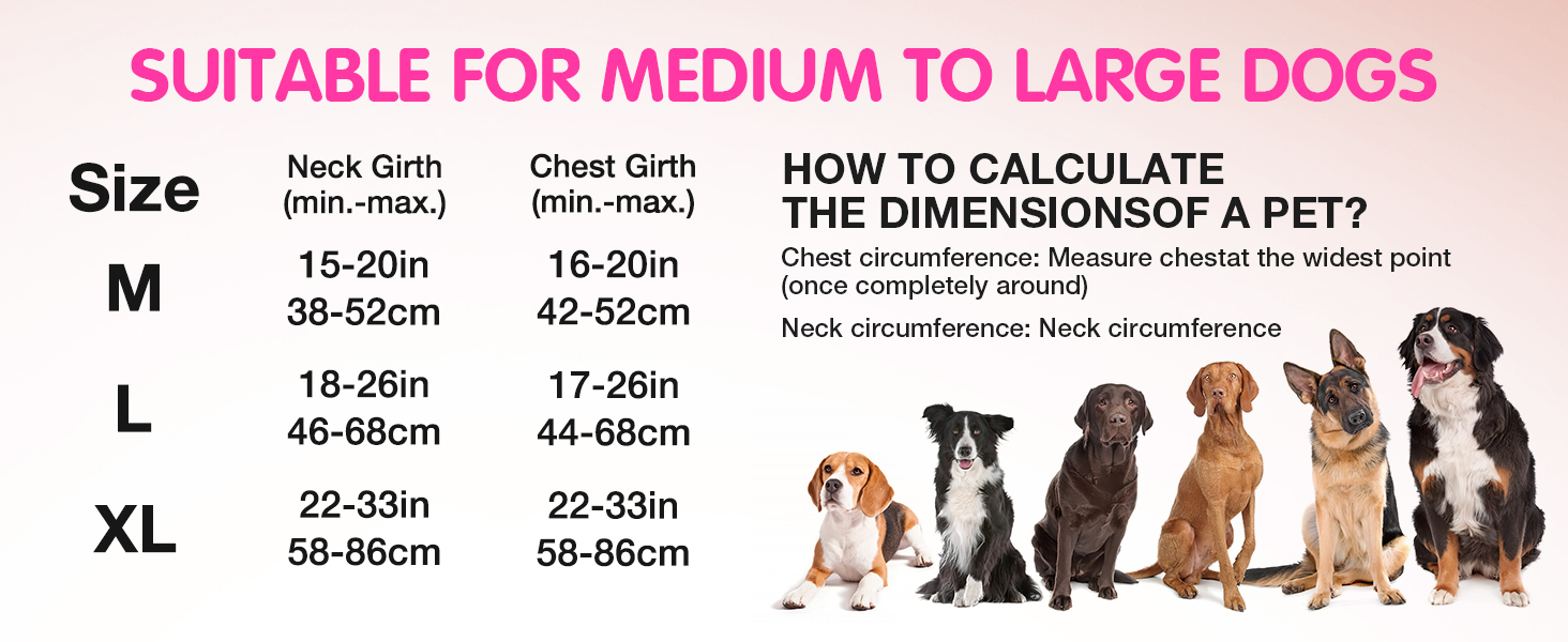 Світловідбиваючий нашийник для собак з LED, перезаряджуваний, зручний, водонепроникний, для середніх та великих собак, зелений (рожевий, M)