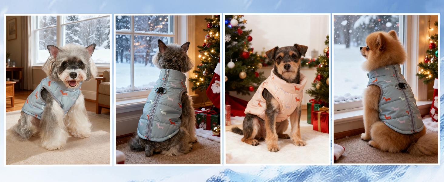 Теплий зимовий одяг для собак: куртка для маленьких собак, вітронепроникний жилет з отвором для шлейки, водонепроникний, для чихуахуа, такси, сірий, блакитний, XXS