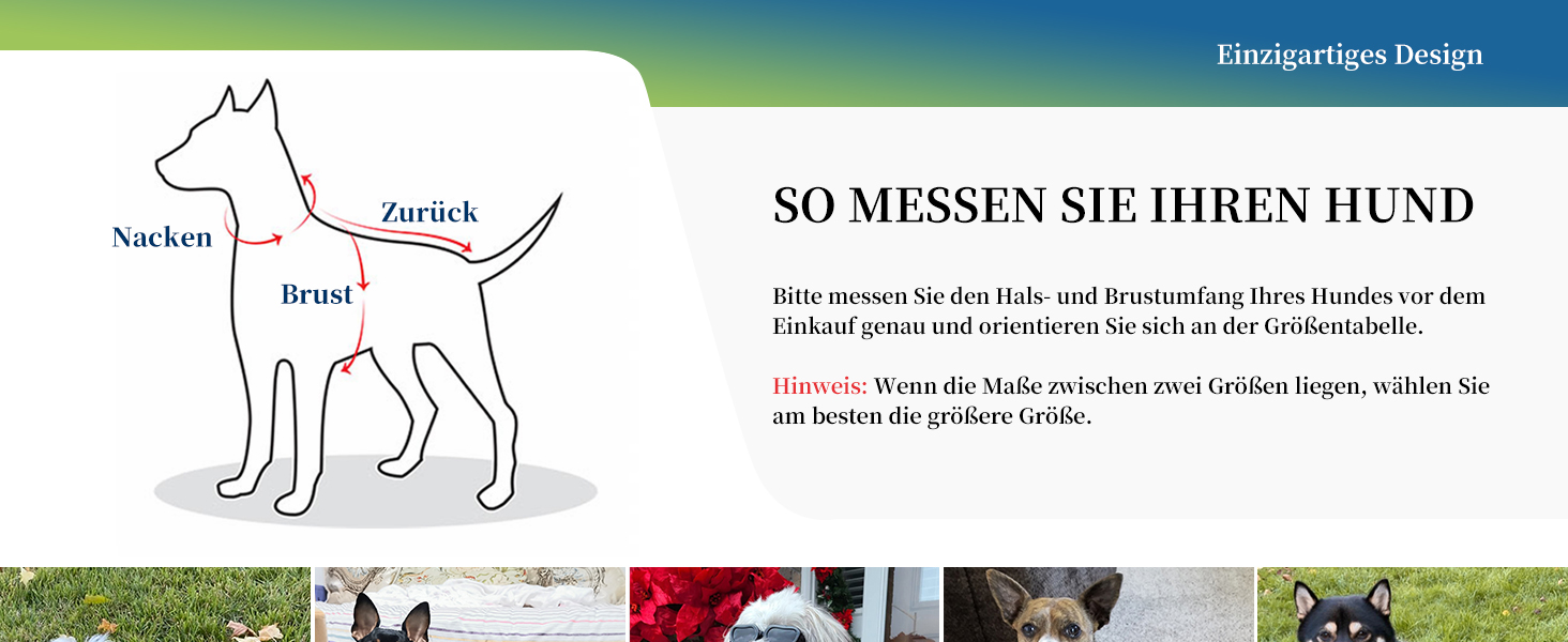 Зимова куртка для собак Namsan з натуральної шкіри, чорна, розмір M, водонепроникна