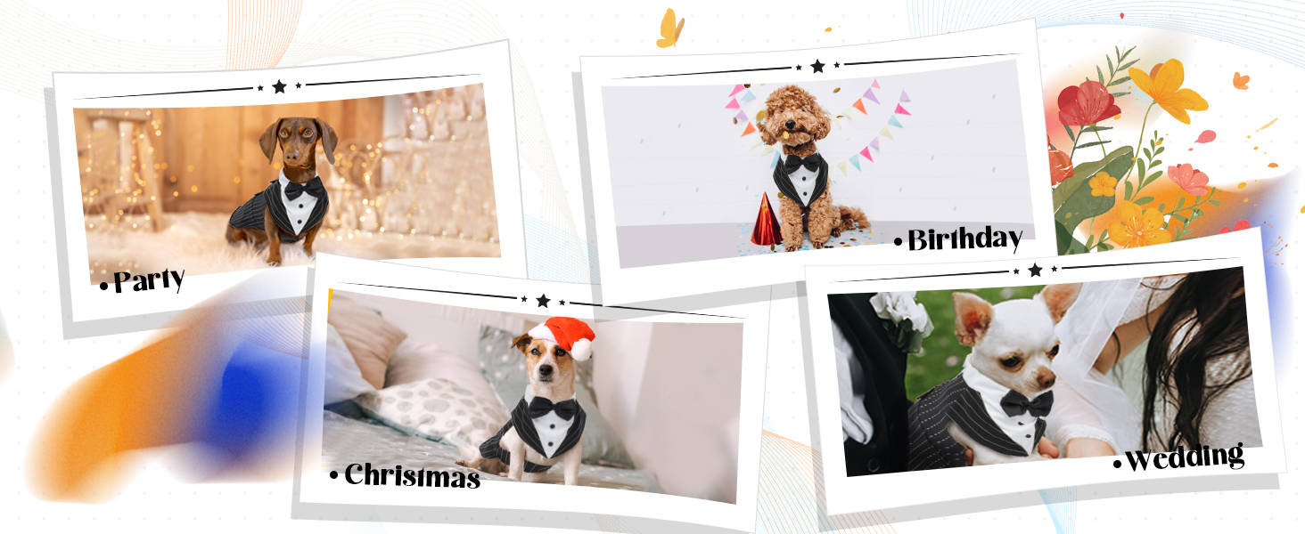 Костюм для собак